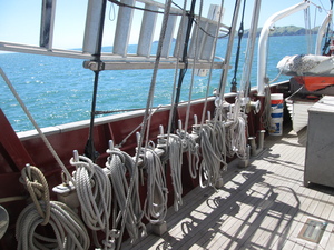 Many lines controlling the sails, neatly secured on deck.