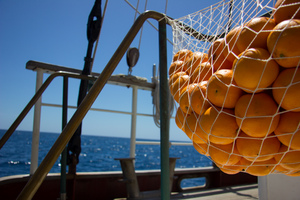 Fruit storage at sea.